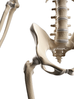 Darstellung von Knochen - Osteoporose Diagnose