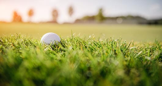Golfschulter - Golfball auf Rasen